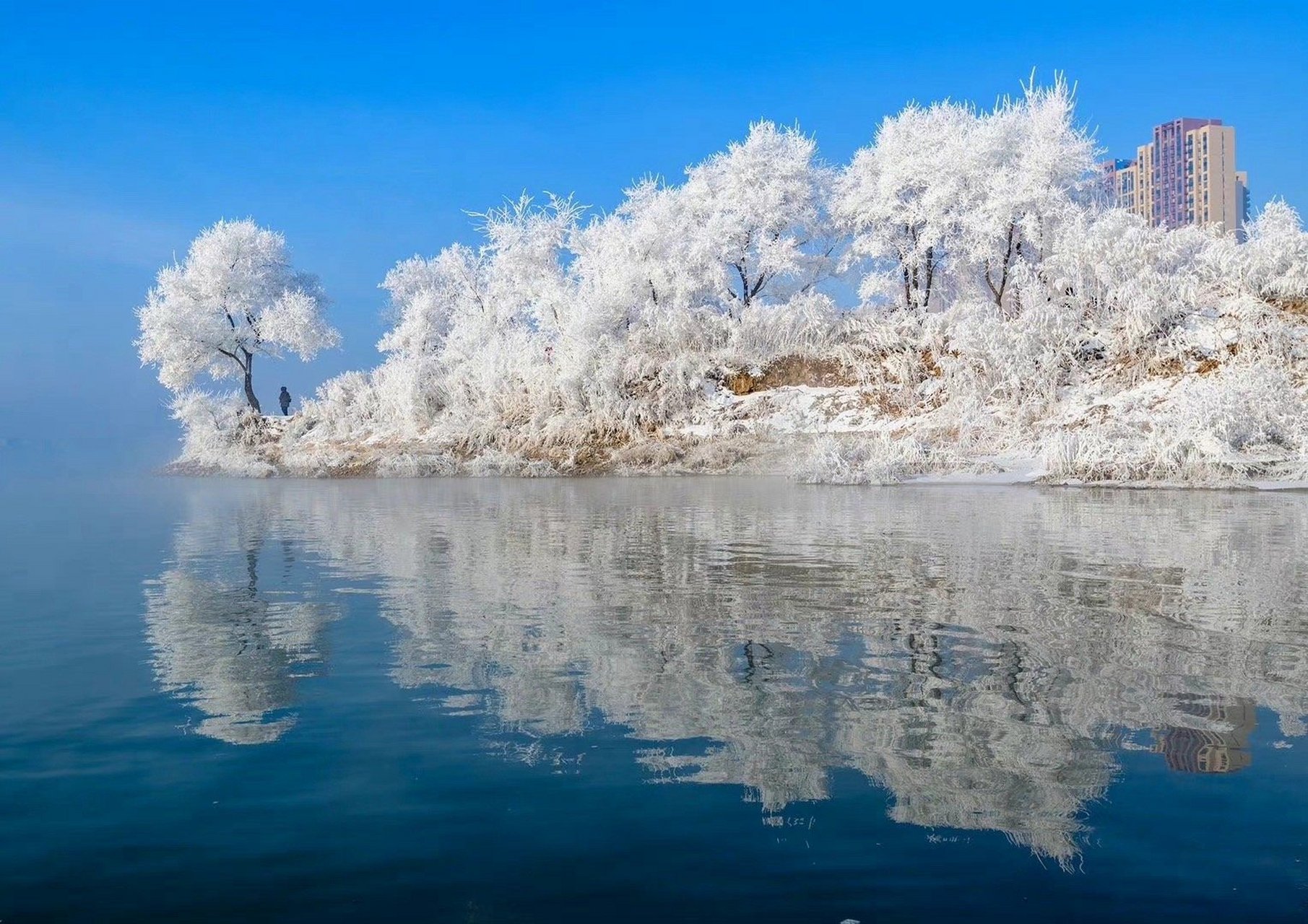 吉林之行，大学时代的新篇章开启